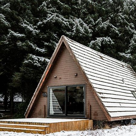 The Triangle Lodge Invergarry Eksteriør bilde